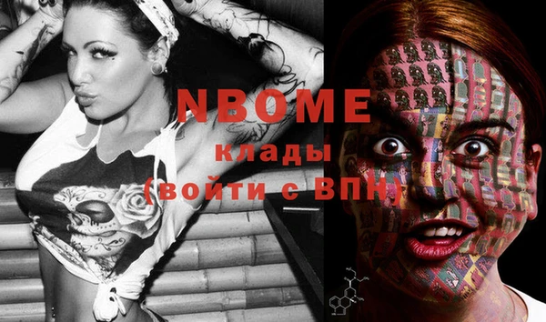 молекула духа Бронницы