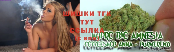 молекула духа Бронницы