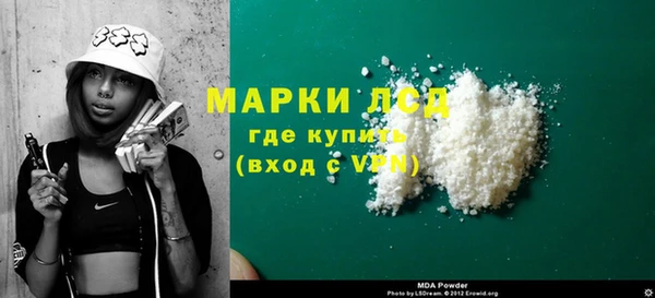 гидра Вязьма