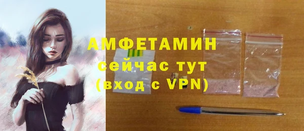 гидра Вязьма