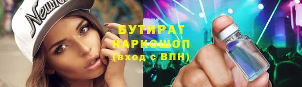 гидра Вязьма