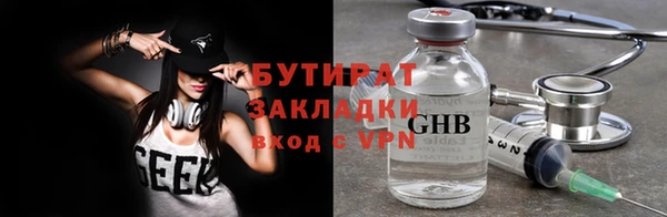 гидра Вязьма