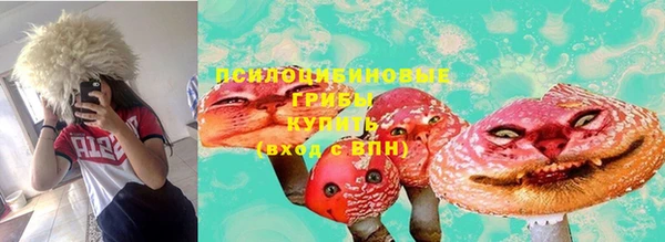 герыч Бородино