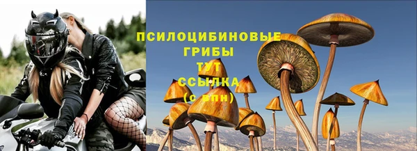 дурь Бугульма