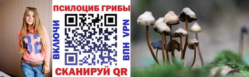 Купить закладки  Красный Кут  Псилоцибиновые грибы GOLDEN TEACHER 